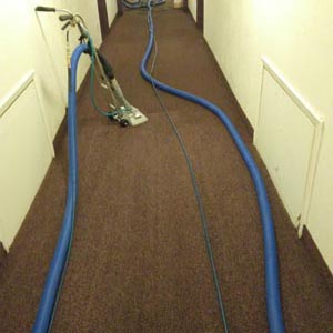 Hallway Carpet Cleaning In-Progress