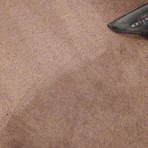 Before and After - Floral Carpet Cleaning